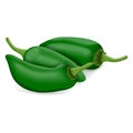 Group of Green Jalapeno chili peppers. Royalty Free Stock Photo