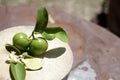 Fresh sliced lime and salt on wood table. Royalty Free Stock Photo