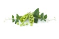 Group of green pea pods and peas isolated on white Royalty Free Stock Photo