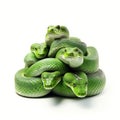 Green snakes on white background isolation ai generate Royalty Free Stock Photo