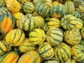 Group of Green and yellow Acorn squash