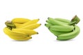 Group of green and yellow bananas in a same branch isolated on white background Royalty Free Stock Photo