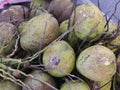 Group of green young tender Coconuts on the floor