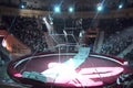 Group of gymnasts performing unimaginable tricks on horizontal bars in circus