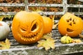 Group of Halloween Pumpkins on a Park Bench