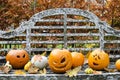 Group of Halloween Pumpkins on a Park Bench