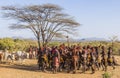 Group of Hamar women dance at bull jumping ceremony. Turmi, Omo Valley, Ethiopia.