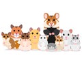 Group of hamster breeds