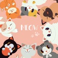 A Group of Happy cat Sit in a circle. have many character of cute cat. relaxing cat sit in a circle and have text