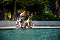 Group of happy children playing outdoors near pool or fountain. Kids having fun in park during summer vacation. Dressed in Royalty Free Stock Photo