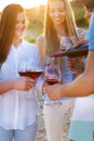 Group of happy friends having red wine on the beach Royalty Free Stock Photo