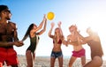 Group of friends playing at beach volley at the beach Royalty Free Stock Photo