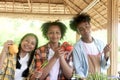 Group of happy Multiethnic teenager friend holding organic food products from their own farm at local market fair, smiling young Royalty Free Stock Photo
