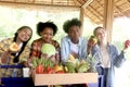 Group of happy Multiethnic teenager friend holding organic food products from their own farm at local market fair, smiling young Royalty Free Stock Photo