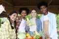 Group of happy Multiethnic teenager friend holding organic food products from their own farm at local market fair, smiling young Royalty Free Stock Photo