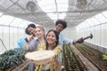 Group of happy Multiethnic teenager friend work in vegetable farm, portrait of smiling young diverse farmer standing together,