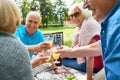 Group of Senior People Enjoying Picnic in Park Royalty Free Stock Photo