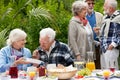 Happy senior people during garden party Royalty Free Stock Photo