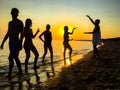 Group of happy young people dancing at the beach on beautiful sunset Royalty Free Stock Photo