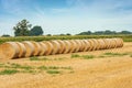 Hay Bales in a Row in a Summer Sunny Day - Padan Plain Italy