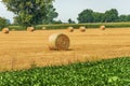 Group of Hay Bales in a Summer Sunny Day - Padan Plain Italy