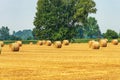 Group of Hay Bales on a Sunny Summer Day - Padan Plain Italy