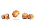 Group of hazelnuts close-up on a white background Royalty Free Stock Photo