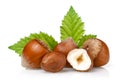 Group of hazelnuts with green leaves isolated Royalty Free Stock Photo