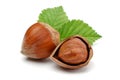 Group of hazelnuts with green leaves isolated Royalty Free Stock Photo