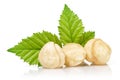 Group of hazelnuts with green leaves isolated Royalty Free Stock Photo