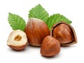 Group of hazelnuts with green leaves isolated Royalty Free Stock Photo