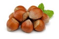 Group of hazelnuts with green leaves isolated Royalty Free Stock Photo