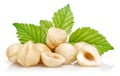 Group of hazelnuts with green leaves isolated Royalty Free Stock Photo