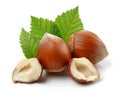 Group of hazelnuts with green leaves isolated Royalty Free Stock Photo