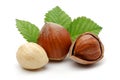 Group of hazelnuts with green leaves isolated Royalty Free Stock Photo