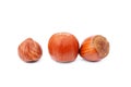 Group hazelnuts