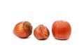 Group hazelnuts