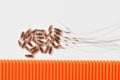 Group of head lice and their nits eggs on a white background with comb