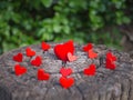 Group hearts placed on the wooden floor and have copy space for design in your work. Red hearts convey the day of love