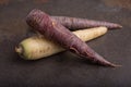 Group of heirloom carrots - 2