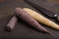 Group of heirloom carrots - 6