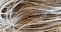 Group of hemp rope. Royalty Free Stock Photo