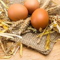 Brown eggs from the farm Royalty Free Stock Photo