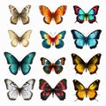 Colorful Butterflies: Highly Detailed Illustrations On White Background