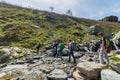 Group of hikers exploring the Alps, outdoor activities in summer