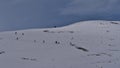 Group of hikers following the tracks in the snow on the top of Edith Cavell Meadows Trail in Jasper National Park, Canada. Royalty Free Stock Photo