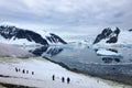 Group of hikers with gentoo penguins around, Antarctic Peninsula Royalty Free Stock Photo