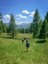 Group of hikers in a green meadow with pine trees, Queyras, the Alps