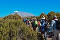 Hikers against a mountain background, Mount Kilimanjaro