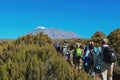 Hikers against a mountain background, Mount Kilimanjaro